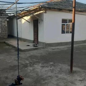 Satlyk jay Garrygala