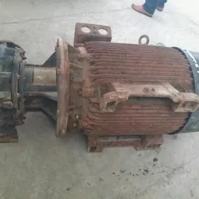 Elektro dwigatel we nasosy top