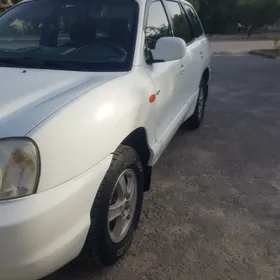 Hyundai Santa Fe 2003