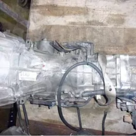 koropka we beyleki ätiyaclyk ş