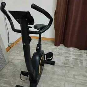 MARSHAL WELETRINAJOR