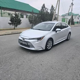 Toyota Corolla 2020