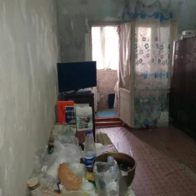 Satlyk 1-kom Jaý Şapak