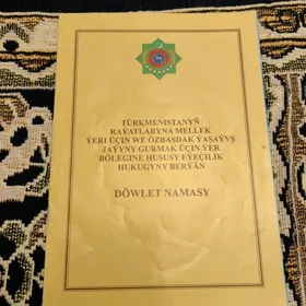 Önaldy dowlet namasy