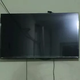 42 telewizir satjak bolyan