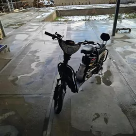 skulptyr tokda isleyar