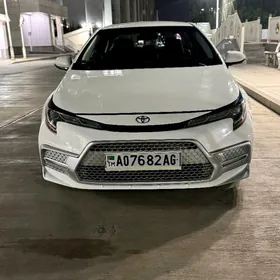 Toyota Corolla 2019