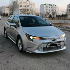 Toyota Corolla 2021
