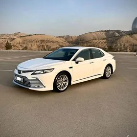 Toyota Camry 2019