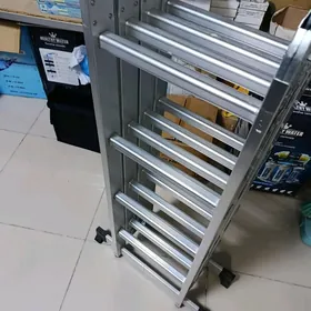 merduwan lesinsa lesnisa