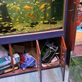 большие аквариумы