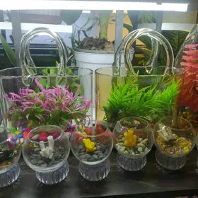 настольные аквариумы