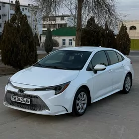 Toyota Corolla 2022
