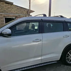 Haylandr witrawik 2020.2024