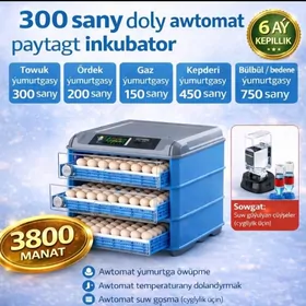 inkubator