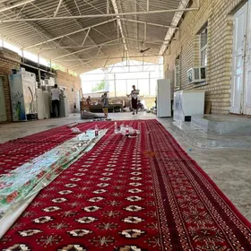 sarlyk jay howly ayratyn