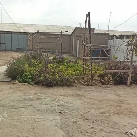 Satlyk ýaşaýyş jay eýesinden