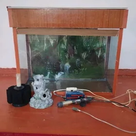 АКВАРИУМ  AKWARIUM