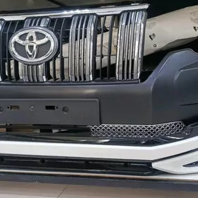 MORDA PRADO 2018 2023