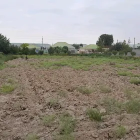 25sotak melek yer gaty gysagly