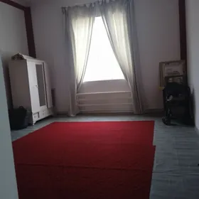 САТЛЫК ХОВЛЫ ЖАЙ