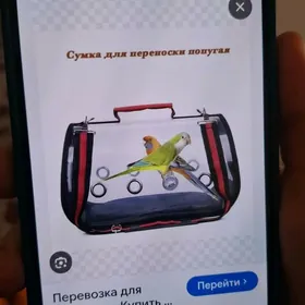 покупаю Переноска папугай