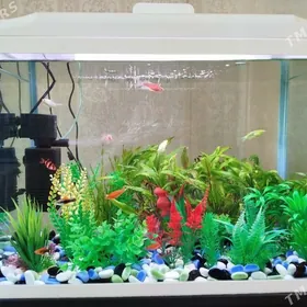 Заводской Аквариум, 60 л