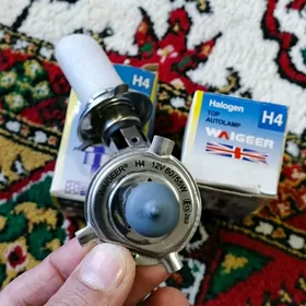 arginal Fransyan onumi