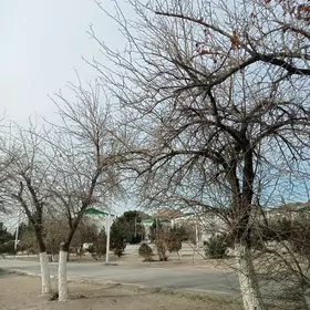 Çerýomuşka 73 de satlyk jaý.