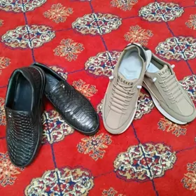 KOWUS BİLEN KRASOWKA