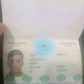 Pasport tapdym