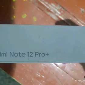 retmi not 12pro +