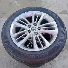 Aziyada radnoy disge 17