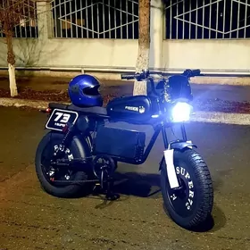 Tokly tigir 100 beti