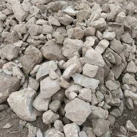 Butgamint Dagyn dasy