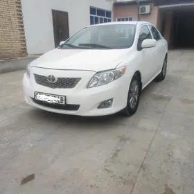 Toyota Corolla 2010