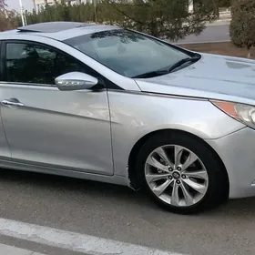 Hyundai Sonata 2010