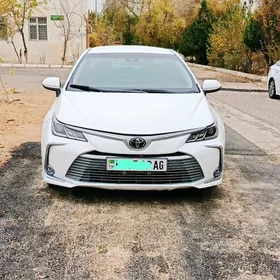Toyota Corolla 2020