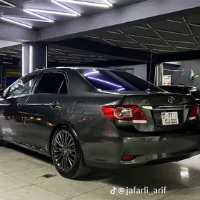 karolla 2011 2013 otrizatel