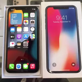 iPhone X