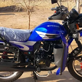 Fekon FK200-14G 2025