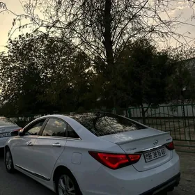Hyundai Sonata 2010