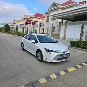 Toyota Corolla 2020