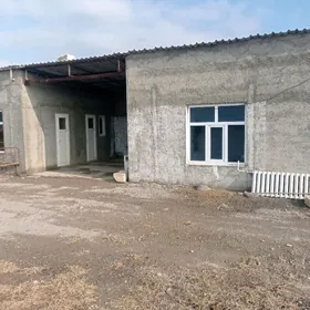 satlyk yatak 12,5 gektar yer