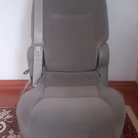 Дут Сиена сиден ортакы