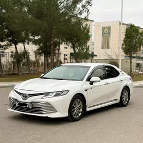 Toyota Camry 2019