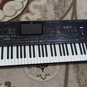korg pa x 4 profesional