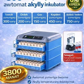 inkubator