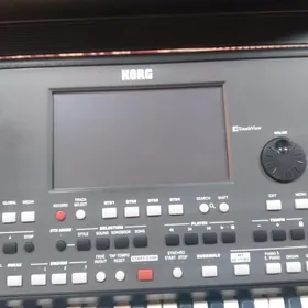 Korg pa 600 pa