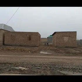 SATLYK  ĴAÝ - Tejen